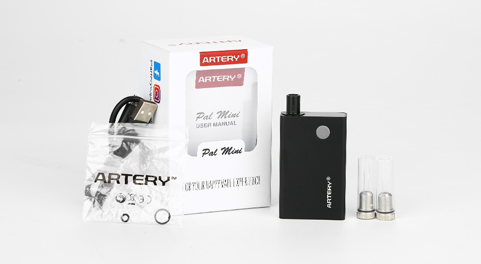 Artery PAL Mini Starter Kit 1000mAh RT ART R