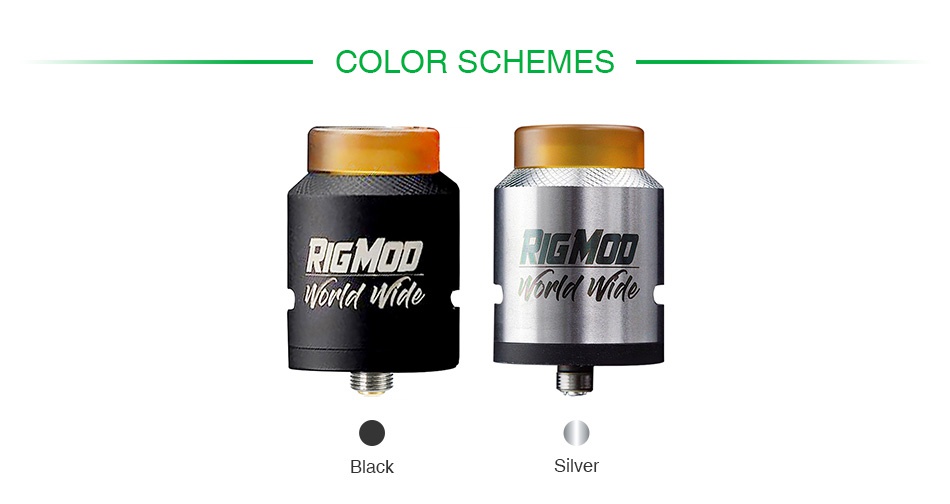 Rig Mod Model 41 RDA COLOR SCHEMES RIGMO Gyan Silver